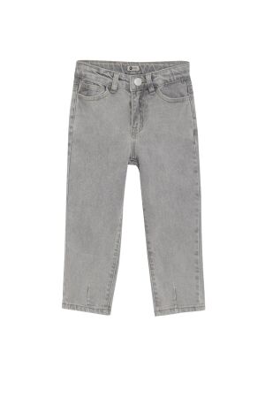 Daily7 2500 Mom Fit Jeans 1170 Light Grey Denim