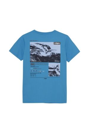Indian Blue Jeans shirts 7336 Blithe 960185