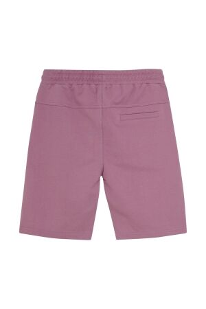 Indian Blue Jeans broeken 6555 Grape Nectar 960214