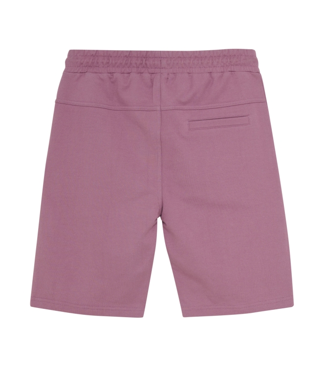 Indian Blue Jeans broeken 6555 Grape Nectar 960214